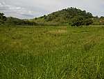 Sítio - Venda - Boa Esperança - Chavão, Rio Bonito - RJ - Foto 1