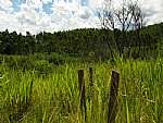 Sítio - Venda - Boa Esperança - Chavão, Rio Bonito - RJ - Foto 1