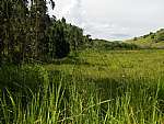 Terreno - Venda - Chavão, Boa Esperança, Rio Bonito - RJ - Foto 1