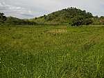 Terreno - Venda - Chavão, Boa Esperança, Rio Bonito - RJ - Foto 1