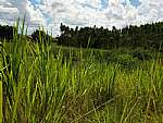 Terreno - Venda - Chavão, Boa Esperança, Rio Bonito - RJ - Foto 1