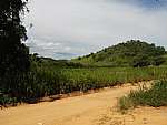 Terreno - Venda - Chavão, Boa Esperança, Rio Bonito - RJ - Foto 1