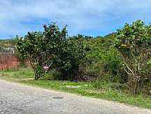 Lote -  Praia da Ferradura, Armação dos Búzios - RJ