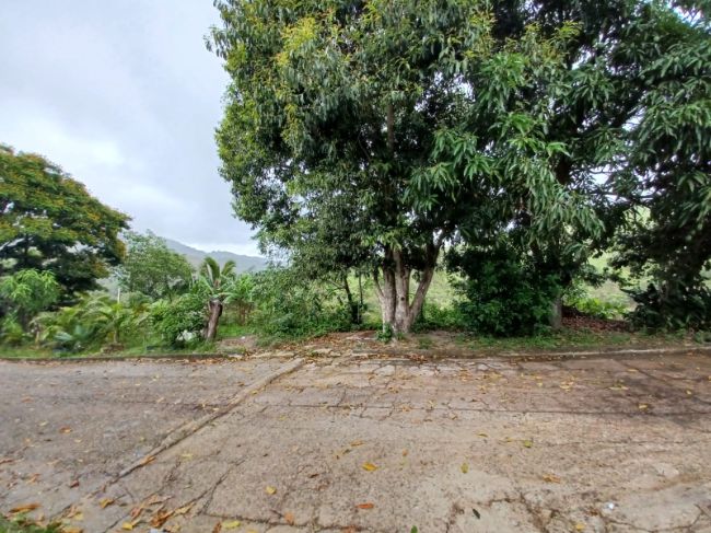 Lote - Venda: Jacuba, Rio Bonito - RJ