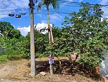Terreno - Venda: ALTO JACUBA , Rio Bonito - RJ