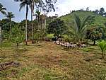 Terreno - Venda - Via parque - praça cruzeiro , Rio Bonito - RJ - Foto 1