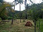 Terreno - Venda - Via parque - praça cruzeiro , Rio Bonito - RJ - Foto 1