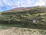  - Foto 1