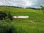 Sítio - Venda - Boa Esperança , Rio Bonito - RJ - Foto 1