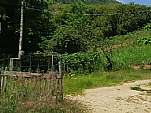  - Foto 1