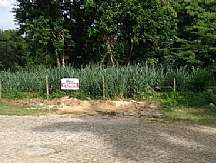 Terreno -  Centro, Rio Bonito - RJ