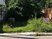Terreno -  Jacuba, Rio Bonito - RJ